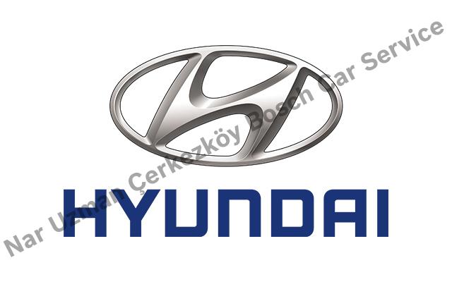 Tekirdağ Hyundai Servisi